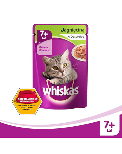Senior Jagnięcina w galaretce 100 g x 18 + 6 GRATIS