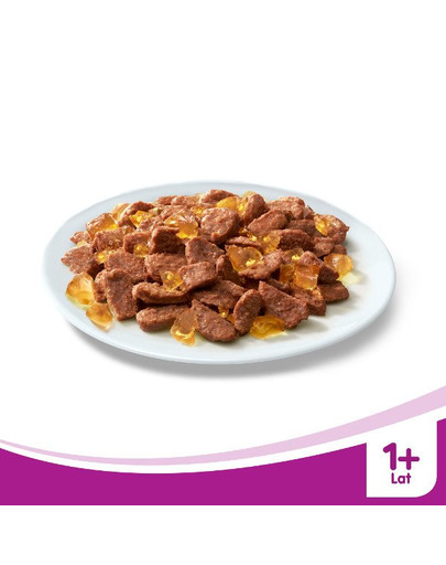 Senior Jagnięcina w galaretce 100 g x 18 + 6 GRATIS