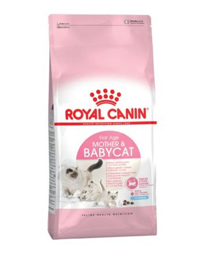Babycat 34 10 kg