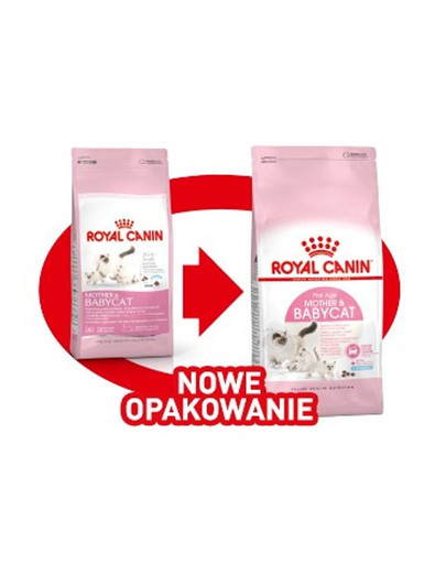 Babycat 34 10 kg