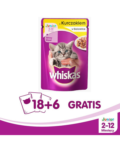 Junior kurczak 100 g x 18 + 6 GRATIS