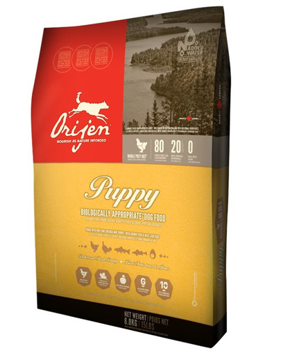 Puppy 13 kg