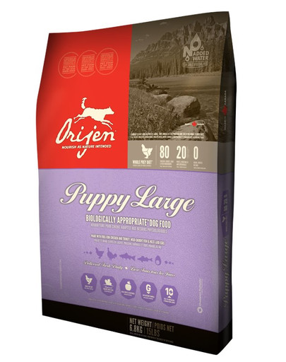 Puppy Large 13 kg