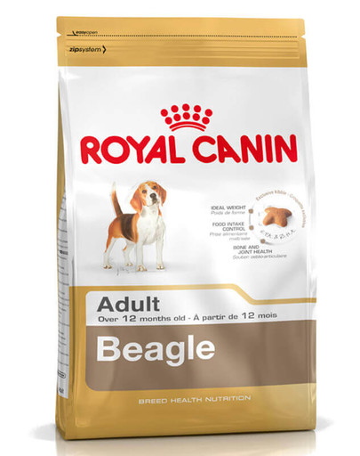 Beagle adult 12 kg