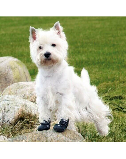 Buty ochronne Walker Active, M-L, 2 szt.