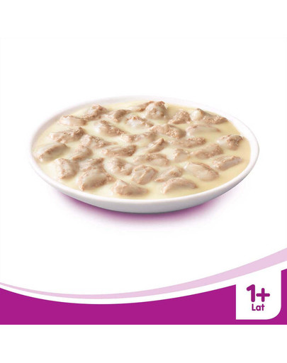 Kremowa Zupa z Kurczakiem 85 Gr x28