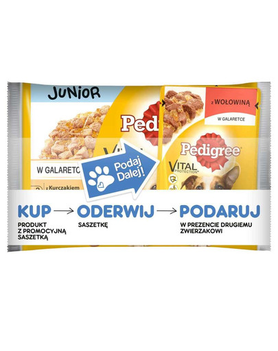 Junior Kurczak i Ryż/Wołowina i Ryż 4 x 100g + 100 g GRATIS