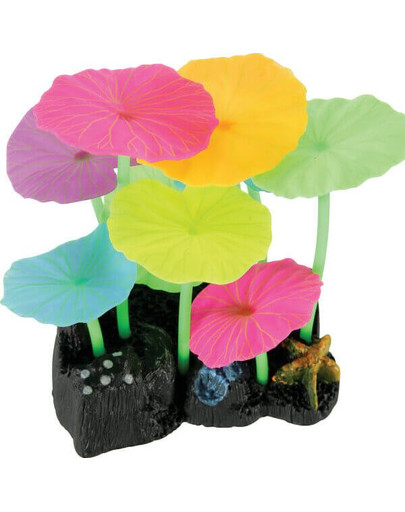 Dekoracja Akwarystyczna Sweetyfish Phospho Lotus