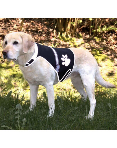 Kamizelka Odblaskowa Flash USB, M: 42–62 cm