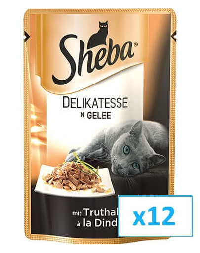 Delikato indyk 85 g x12