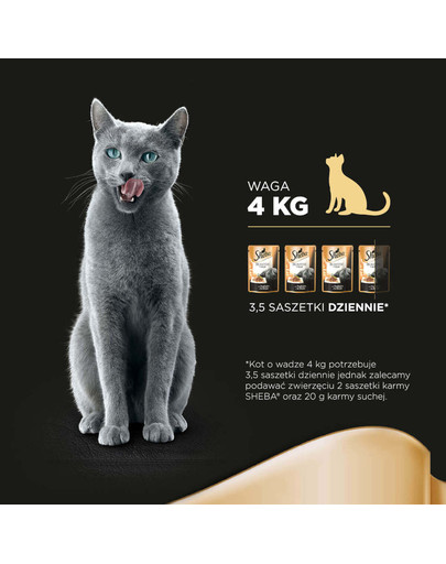 Delikato indyk 85 g x12