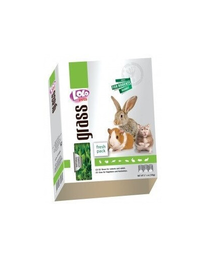 Trawa Dla Gryzoni W Pudełku 100G