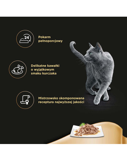Selection in Sauce z Kurczakiem 85g