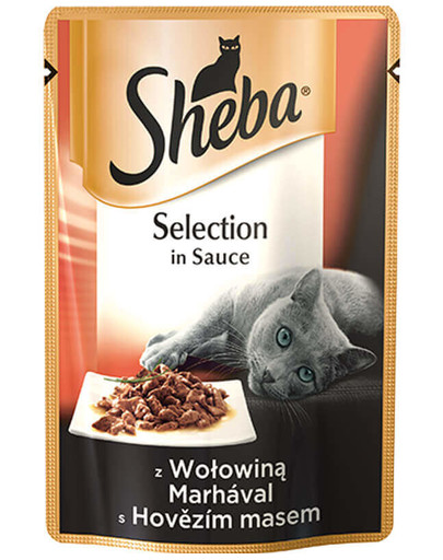Selection in Sauce z Wołowiną 85g
