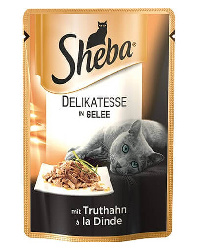 Delicacy in Jelly z Indykiem 85g
