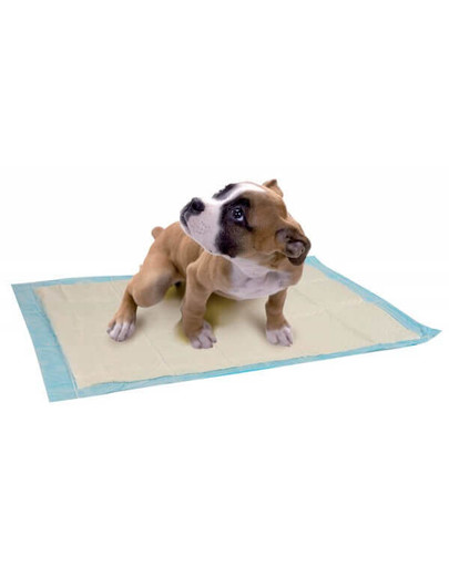 Maty Absorbujące 60 X 60 cm - 10 Sztuk