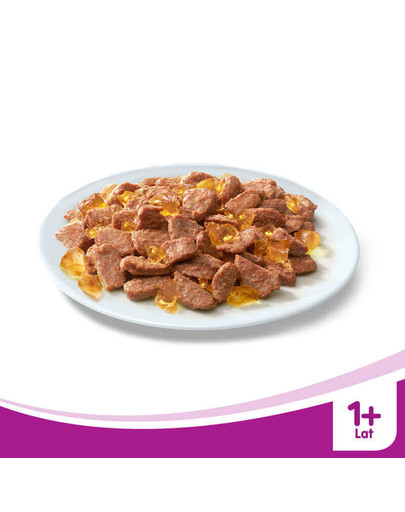 Saszetka kurczak w galaretce 100 g