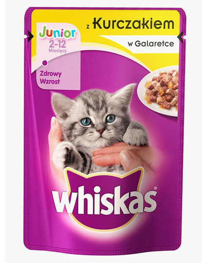Junior kurczak 0.1 kg