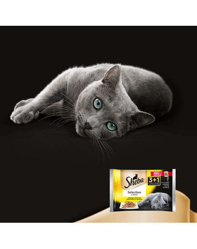 Selection in Sauce Smaki Drobiowe sos 4 x 85g