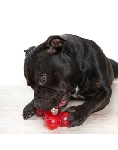 Zabawka Strong Dog Bone 16,5cm