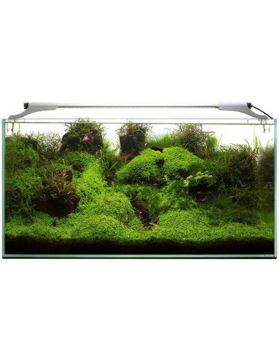 Leddy Slim 10W Sunny 50-70 cm