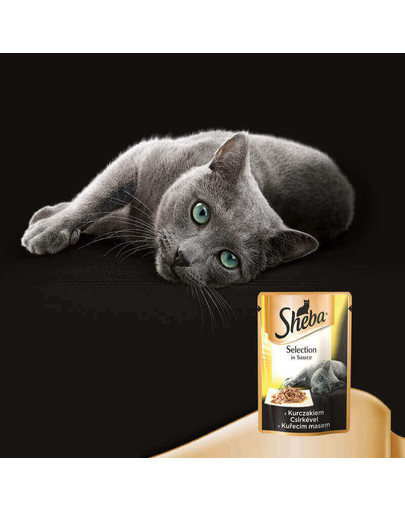 Selection in Sauce z Kurczakiem 85g