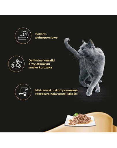 Selection in Sauce z Kurczakiem 85g
