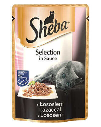 Selection in Sauce z Łososiem 85g