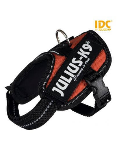 Szelki Julius-K9 IDC Mini/M: 49–67 cm/22 mm Miedziano-Pomarańczowy