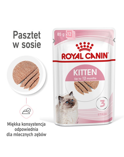 Kitten pasztet 12x85g