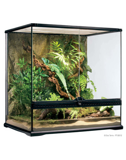 Terrarium szklane MEDIUM 60x45x45cm