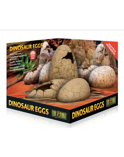 Kryjówka jaja dinozaura