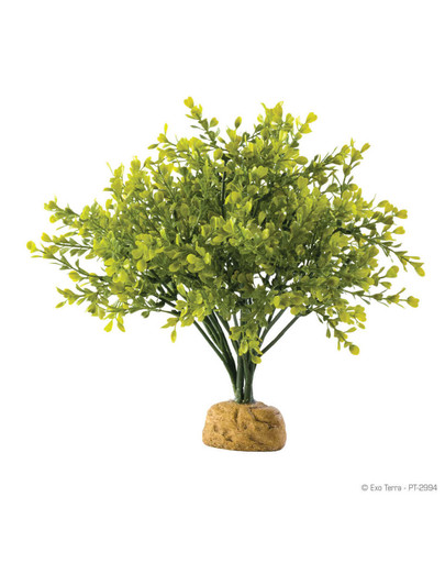 Roślina sztuczna – Boxwood Bush