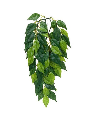 Roślina sztuczna – Silk Ficus S