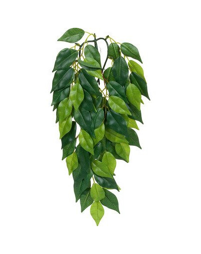 Roślina sztuczna – Silk Ficus M
