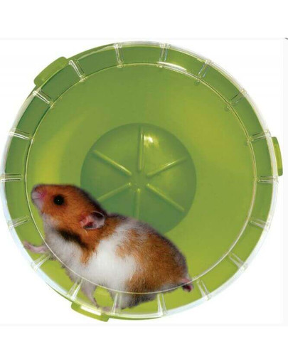 Kołowrotek Rodylounge Kiwi