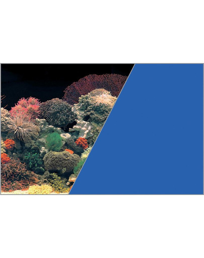 Tło akwariowe dwustronne 30 x 40 cm koralowiec/niebieskie