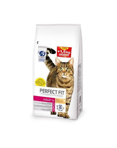Adult Kurczak 5,5kg +1,5kg Gratis