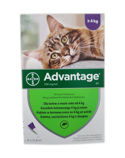 ADVANTAGE Roztwór do nakrapiania dla kotów powyżej 4 kg (4 x 0,8 ml)