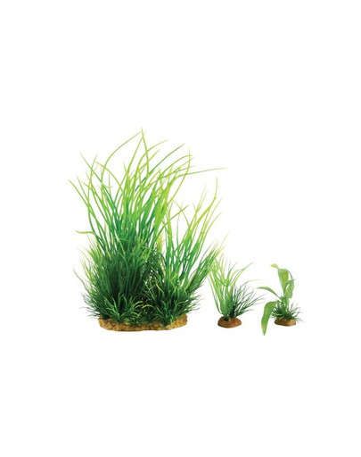 Dekoracja Roślinna Plantkit Wiha Model 1