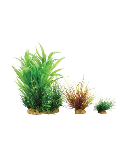 Dekoracja Roślinna Plantkit Wiha Model 2