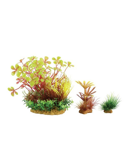 Dekoracja Roślinna Plantkit Wiha Model 4