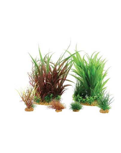 Dekoracja Roślinna Plantkit Jalaya Model 3