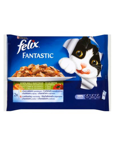 Fantastic uczta oceanu łosoś płastuga w galaretce 40 x 100g