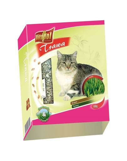 Trawa w pojemniku dla kota 100g