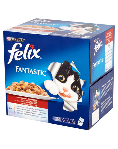 Fantastic Wiejskie Smaki W Galaretce 24X100 g
