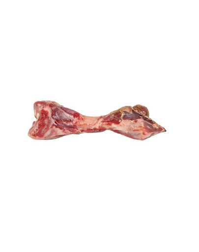 Kość wieprzowa 390 g / 24 cm