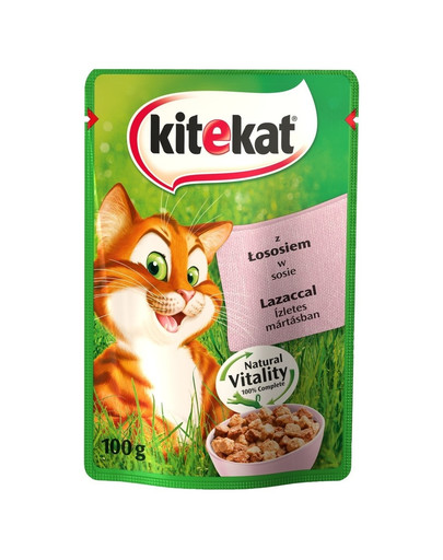 Łosoś w sosie 100 g x 24