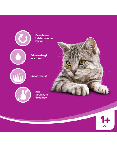 WHISKAS 1+ lat opakowanie 24x100g - mokra karma dla kotów, z wołowiną w sosie