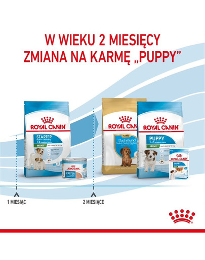 ROYAL CANIN Mini Starter Mother & Babydog 1 kg karma sucha dla suk w ciąży i okresie laktacji oraz szczeniąt, od 4 do 8 tygodnia, ras małych